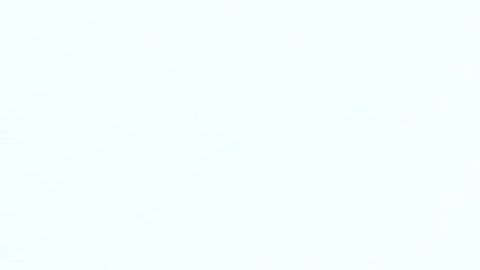 Bernie Sanders lleva la delantera ante Joe Biden.