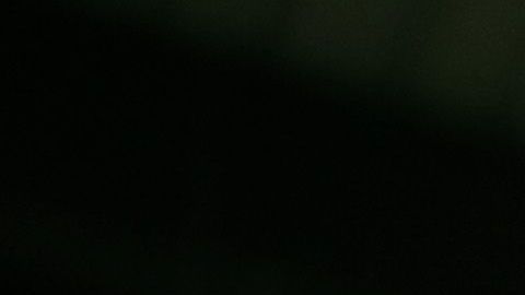 Bernie Sanders celebra con sus seguidores en Manchester, New Hampshire.