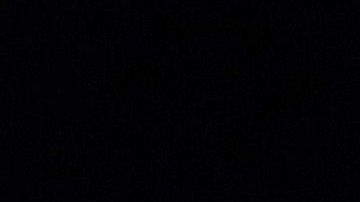 El exvicepresidente Biden baja en las encuestas.