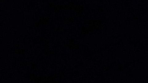 El exvicepresidente Biden baja en las encuestas.