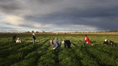 La norma afectaría a granjeros.