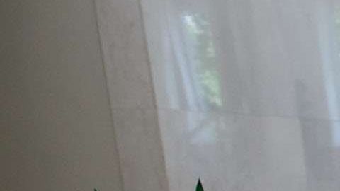 Sede de la CIA en Virginia.