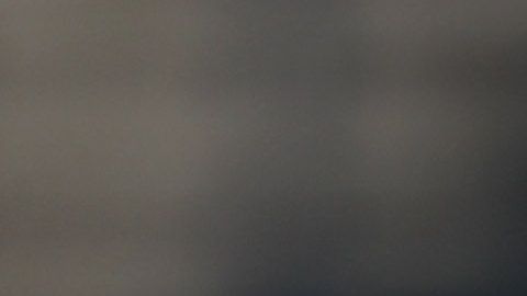 Uno de los jugadores del equipo fue agredido por su estratega Lamberto Magrini.