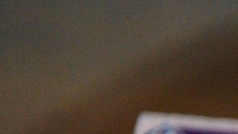 Por fortuna, los recolectores de basura no habían pasado por su vivienda.