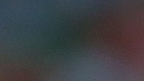 El español destacó las habilidades del ‘Chicharito’.