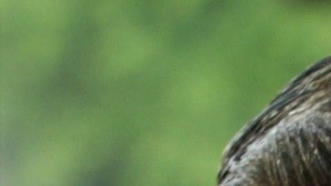 Ben Affleck y Jennifer López en 2004.