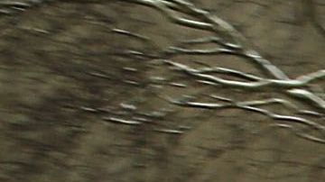 Una patrulla del NYPD.