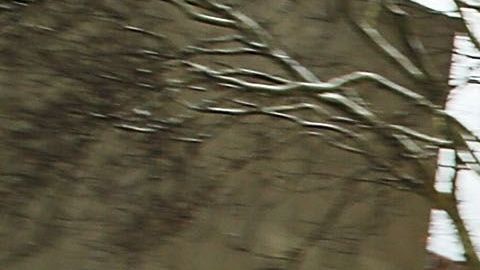 Una patrulla del NYPD.