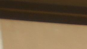 La tienda ubicada en Bentonville, Arkansas será la pionera en probar los beneficios del programa de lealtad