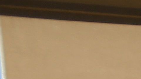 La tienda ubicada en Bentonville, Arkansas será la pionera en probar los beneficios del programa de lealtad