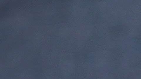 Madre asesinada en Dallas.