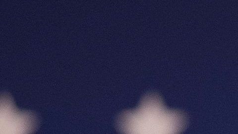 Rolland Schnelles respalda el discurso de Trump y volverá a apoyarlo este 2020.