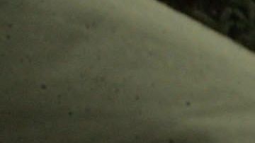 Border Patrol Works Along Vermont - Canada Border