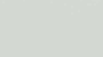 En la solicitud se plantea que los menores de 13 años deben estar sentados junto a sus padres en los aviones.