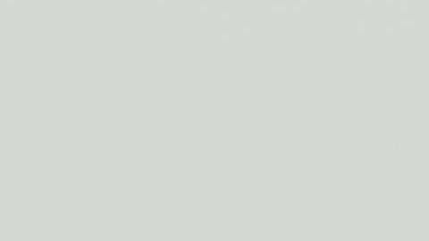 En la solicitud se plantea que los menores de 13 años deben estar sentados junto a sus padres en los aviones.