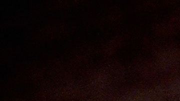 Puedes encontrar gran variedad de Prosecco.