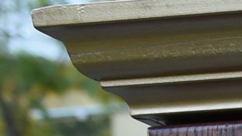 Trump el clarividente.