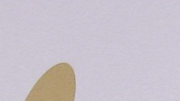 Kourtney Kardashian. Foto: Getty Images.