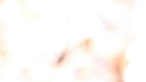 El jugador brasileño manifestó su descontento por la elección de la directiva blaugrana.