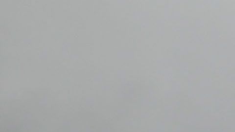 No es la primera vez que un condado de Florida intenta cambiar el nombre de sus calles.