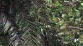 Un barrio inundado de Miami, Florida a raíz del huracán Irma en 2017.