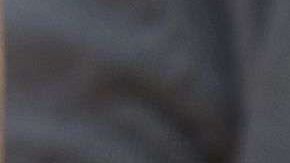 La regla de "carga pública" se aplicará a partir del 24 de febrero.