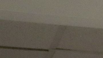 Family Members Congratulate New Citizens As President Trump's Immigration Policy Targets "Chain Migration"