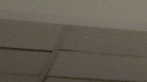 Family Members Congratulate New Citizens As President Trump's Immigration Policy Targets "Chain Migration"