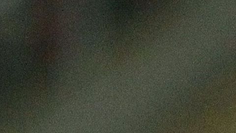 Macías se lesionó en los octavos de final de la Copa MX.