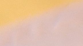 El Departamento de Estado implementó la política en junio.