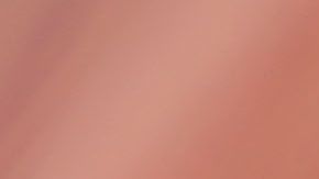 El banco canceló la tarjeta al ver que se estaban realizando cargos en un hotel de Ohio.