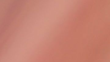 El banco canceló la tarjeta al ver que se estaban realizando cargos en un hotel de Ohio.