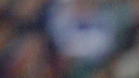 Christophe Dugarry fue campeón del Mundo con su selección en Francia 1998.