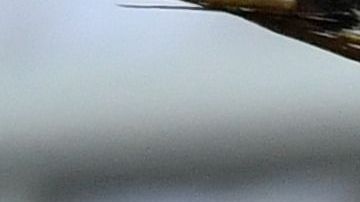 Los diseños encantaron a la afición.