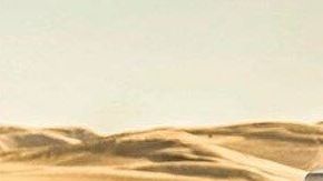 Jeep Gladiator Mojave 2020
Crédito: Cortesía Jeep