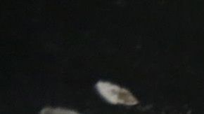 Los dos alcaldes ya están entrenando.