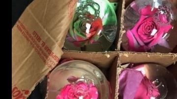 Los globos de vidrio.