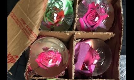 Los globos de vidrio.