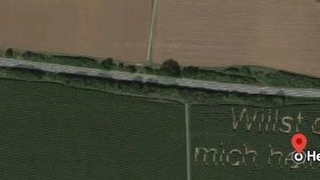 Una tía le dijo que había visto su propuesta en Google Maps.