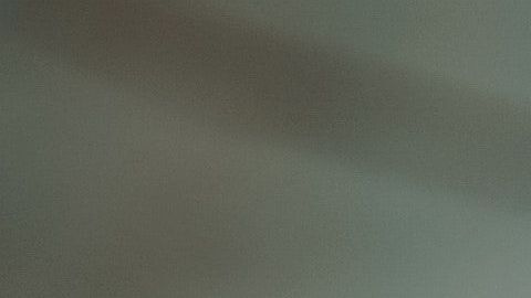 Las plantas permiten el flujo de energía positiva.