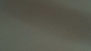 Las plantas permiten el flujo de energía positiva.