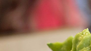 La promoción de guacamole gratis será válida durante el  resto del mes de febrero.