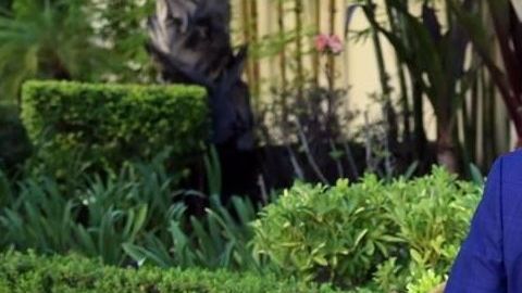 Hector Alejandro Cabrera.