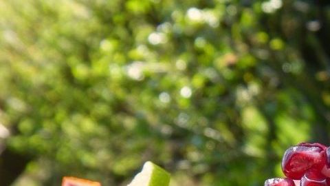 El término de gelato proviene de la palabra derivada del latín gelatus, que significa congelado.