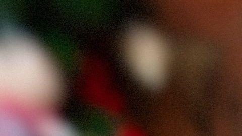 Un husky espera afuera del trabajo de su dueña durante ocho horas diariamente.