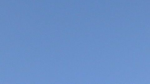 Agente de ICE revisa a una mujer originaria de Honduras, antes de deportarla a San Pedro Sula.