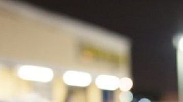 Los agentes especiales serían enviados entre febrero y mayo.