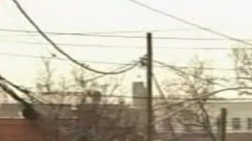 Los hechos ocurrieron esta mañana en Brooklyn.