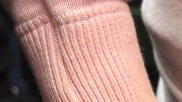 Los arrestos se realizaron en Amposta, Tarragona.