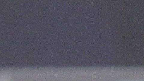 Aceptó su fracaso como timonel de los camoteros